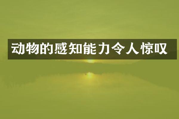 动物的感知能力令人惊叹