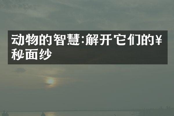 动物的智慧:解开它们的神秘面纱