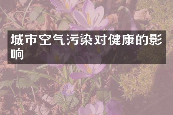 城市空气污染对健康的影响
