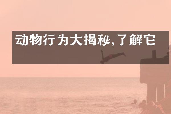 动物行为大揭秘,了解它们