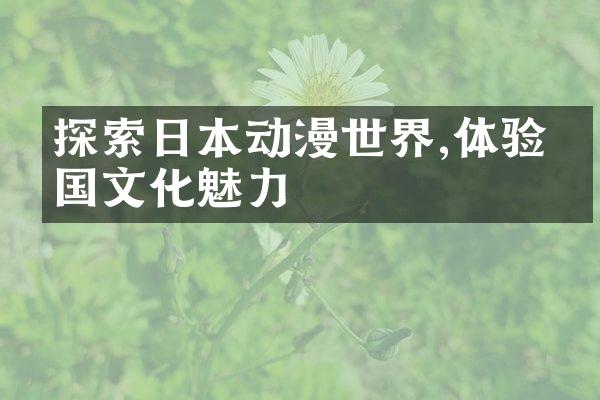 探索日本动漫世界,体验异国文化魅力
