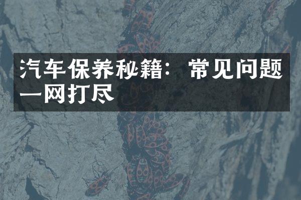 汽车保养秘籍：常见问题一网打尽