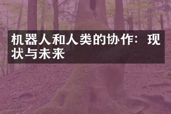 机器人和人类的协作：现状与未来