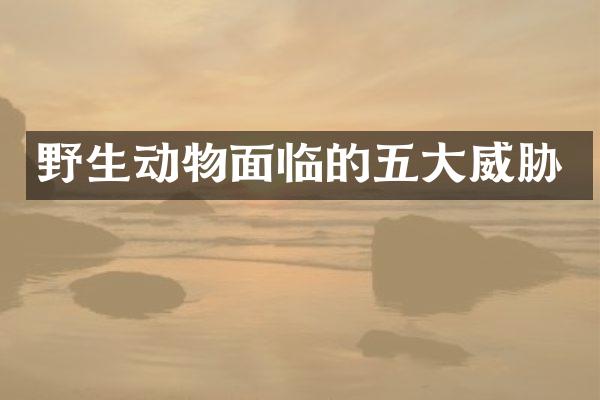 野生动物面临的五大威胁