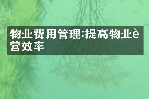物业费用管理:提高物业运营效率