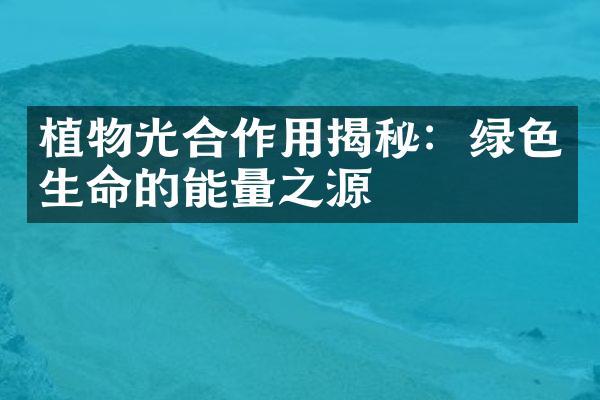 植物光合作用揭秘：绿色生命的能量之源