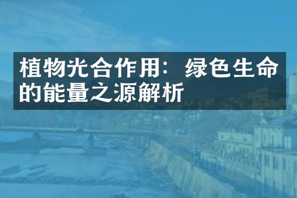 植物光合作用：绿色生命的能量之源解析
