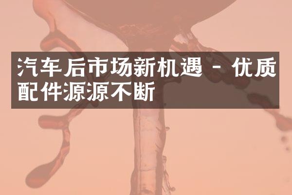 汽车后市场新机遇 - 优质配件源源不断