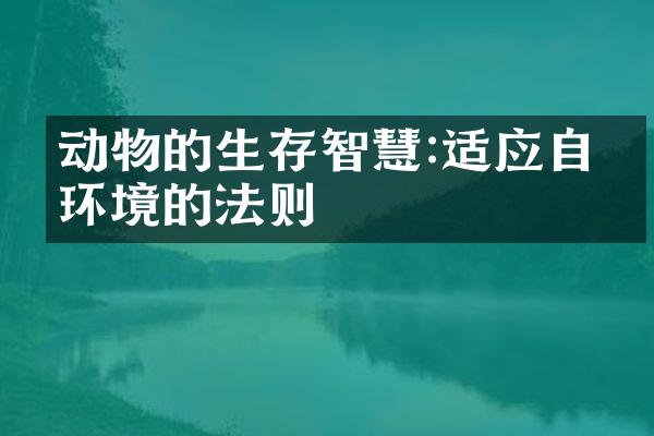 动物的生存智慧:适应自然环境的法则