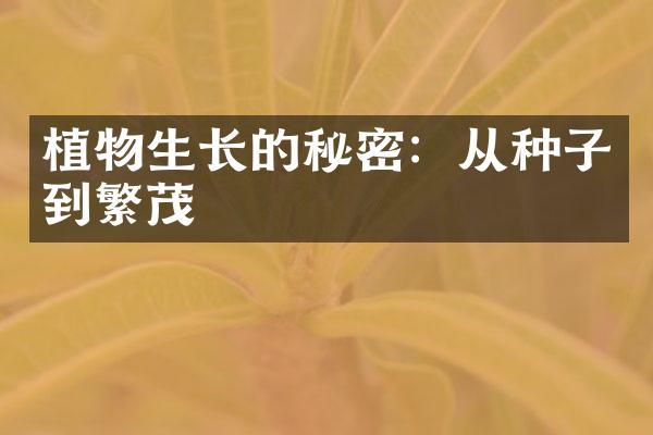 植物生长的秘密：从种子到繁茂