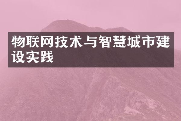 物联网技术与智慧城市建设实践