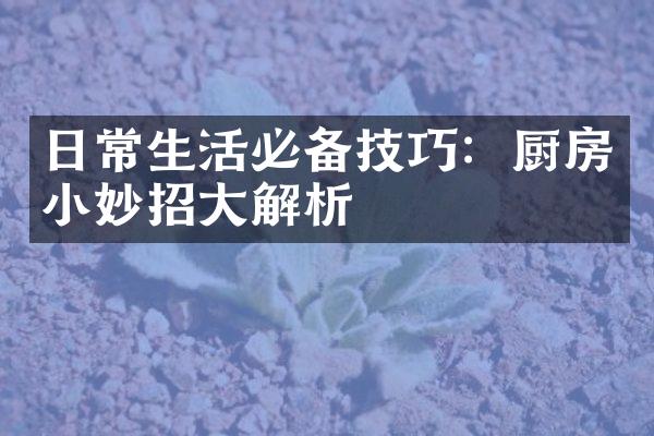 日常生活必备技巧：厨房小妙招大解析