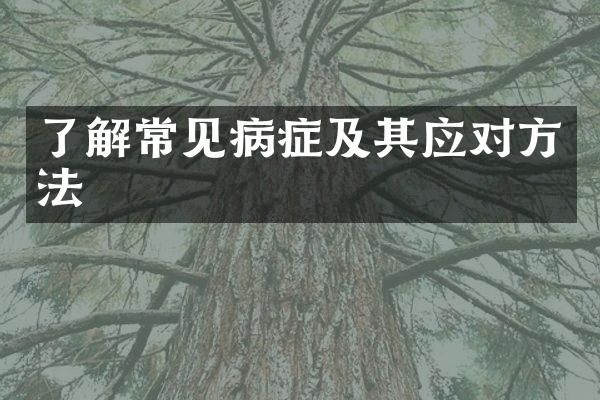 了解常见病症及其应对方法