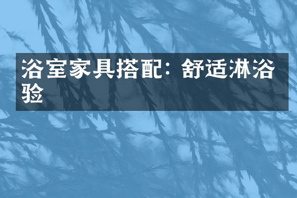 浴室家具搭配: 舒适淋浴体验