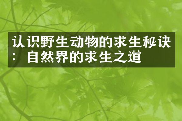 认识野生动物的求生秘诀：自然界的求生之道