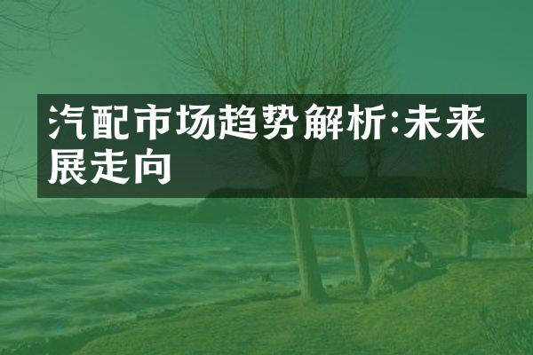 汽配市场趋势解析:未来发展走向