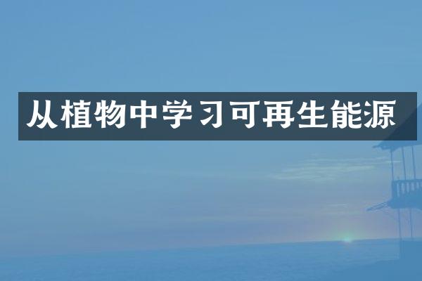从植物中学习可再生能源