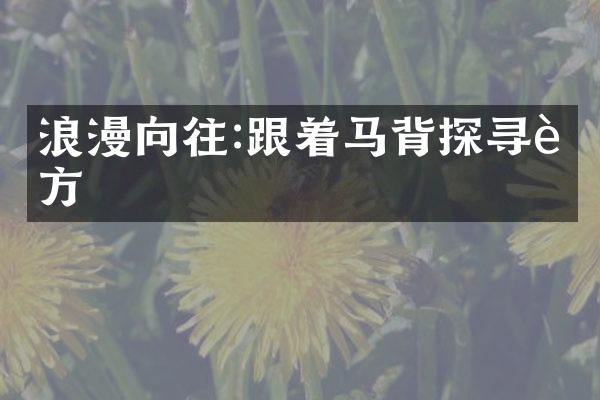 浪漫向往:跟着马背探寻远方