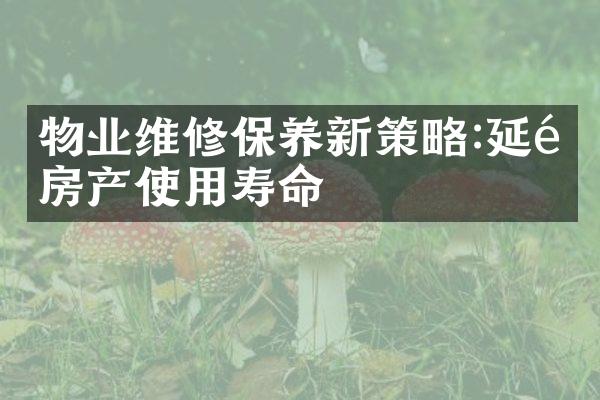 物业维修保养新策略:延长房产使用寿命