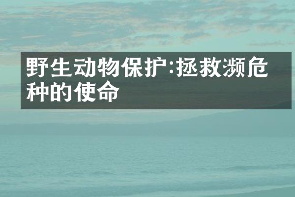 野生动物保护:拯救濒危物种的使命
