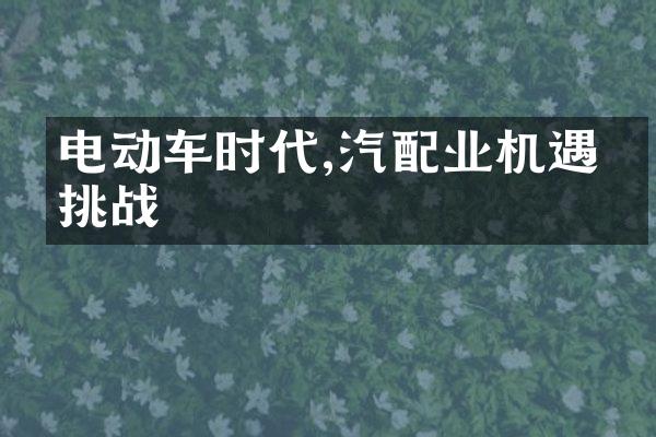 电动车时代,汽配业机遇与挑战