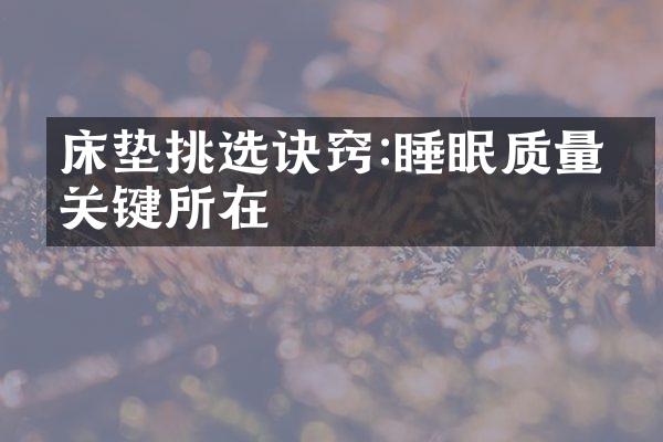 床垫挑选诀窍:睡眠质量的关键所在