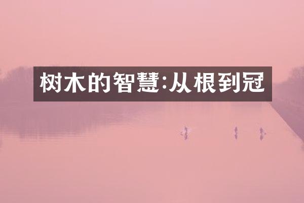 树木的智慧:从根到冠