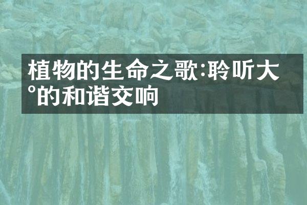 植物的生命之歌:聆听大地的和谐交响
