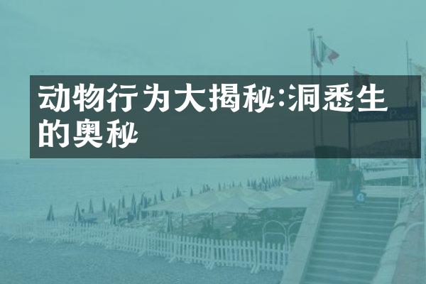 动物行为大揭秘:洞悉生命的奥秘