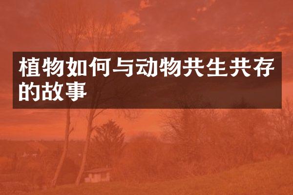 植物如何与动物共生共存的故事