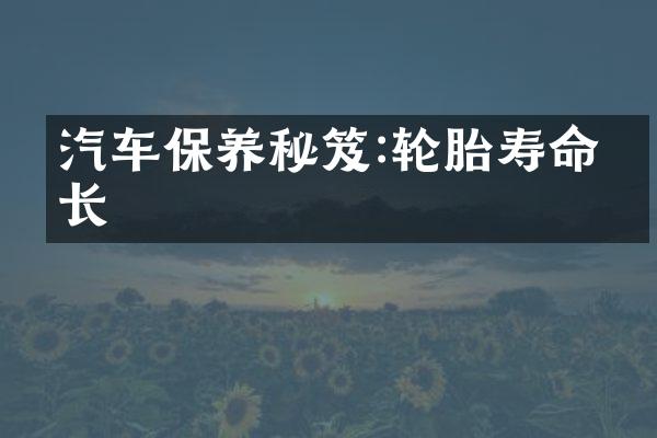 汽车保养秘笈:轮胎寿命延长