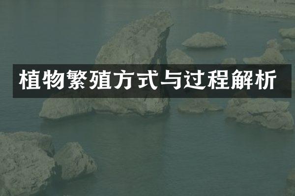 植物繁殖方式与过程解析