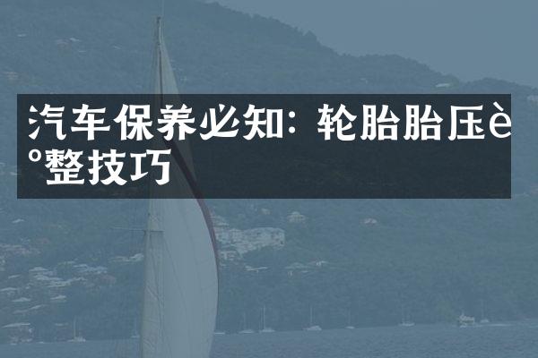 汽车保养必知: 轮胎胎压调整技巧