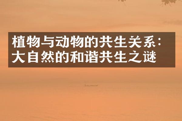 植物与动物的共生关系：大自然的和谐共生之谜