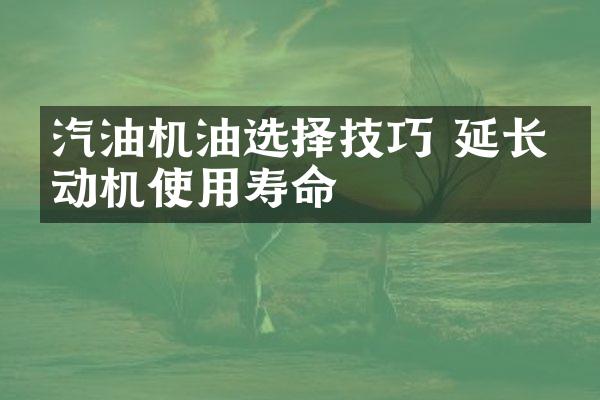 汽油机油选择技巧 延长发动机使用寿命