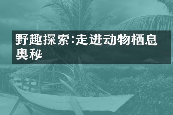 野趣探索:走进动物栖息的奥秘