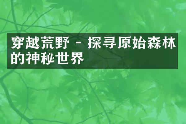穿越荒野 - 探寻原始森林的神秘世界