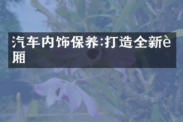 汽车内饰保养:打造全新车厢