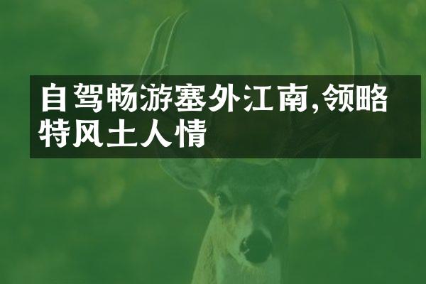 自驾畅游塞外江南,领略独特风土人情
