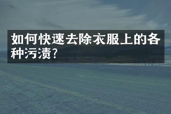 如何快速去除衣服上的各种污渍?