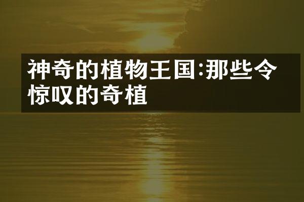 神奇的植物王国:那些令人惊叹的奇植