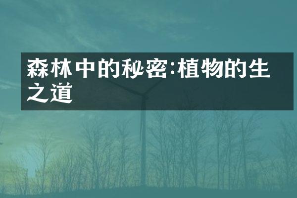 森林中的秘密:植物的生存之道