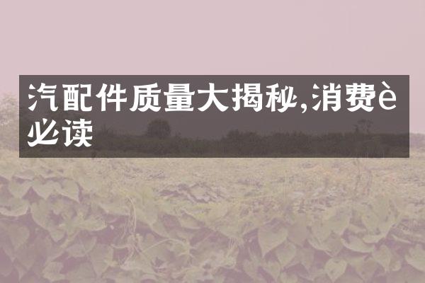 汽配件质量大揭秘,消费者必读