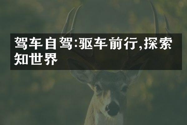 驾车自驾:驱车前行,探索未知世界