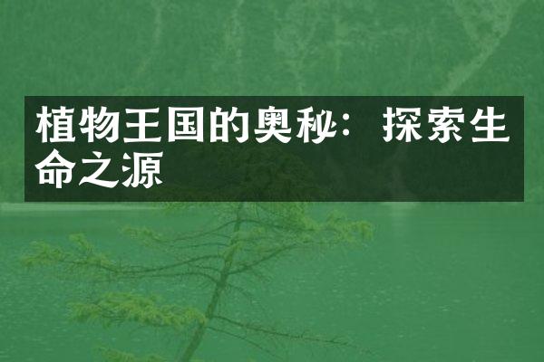 植物王国的奥秘：探索生命之源