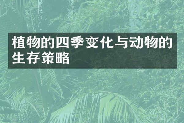 植物的四季变化与动物的生存策略