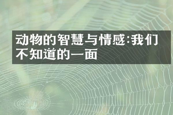 动物的智慧与情感:我们所不知道的一面