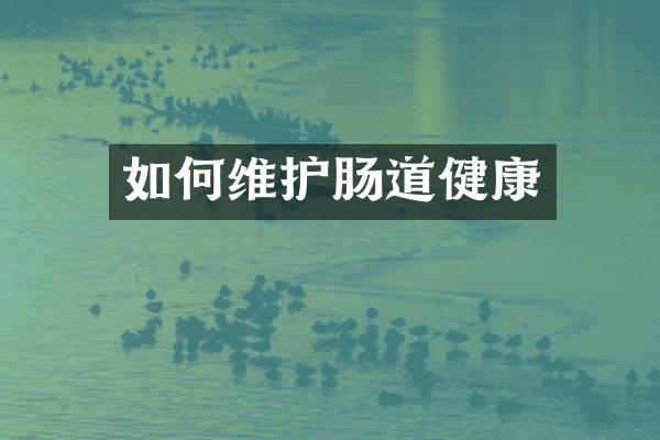 如何维护肠道健康
