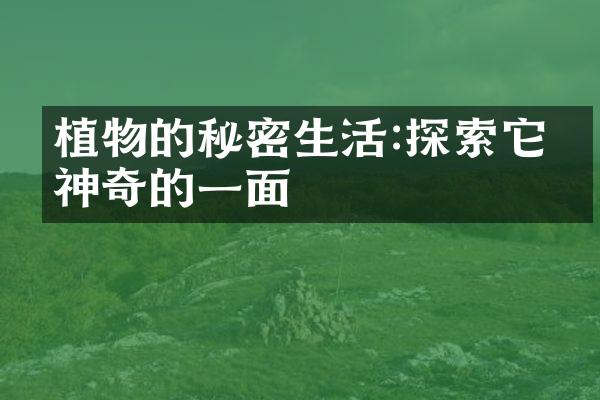 植物的秘密生活:探索它们神奇的一面