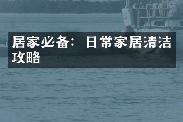 居家必备：日常家居清洁攻略